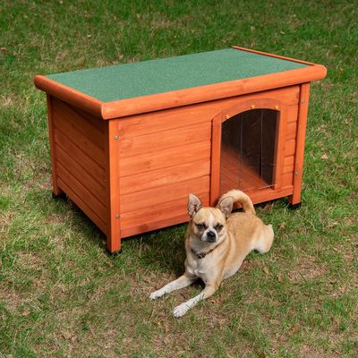 Hundehütte Woody Flachdach