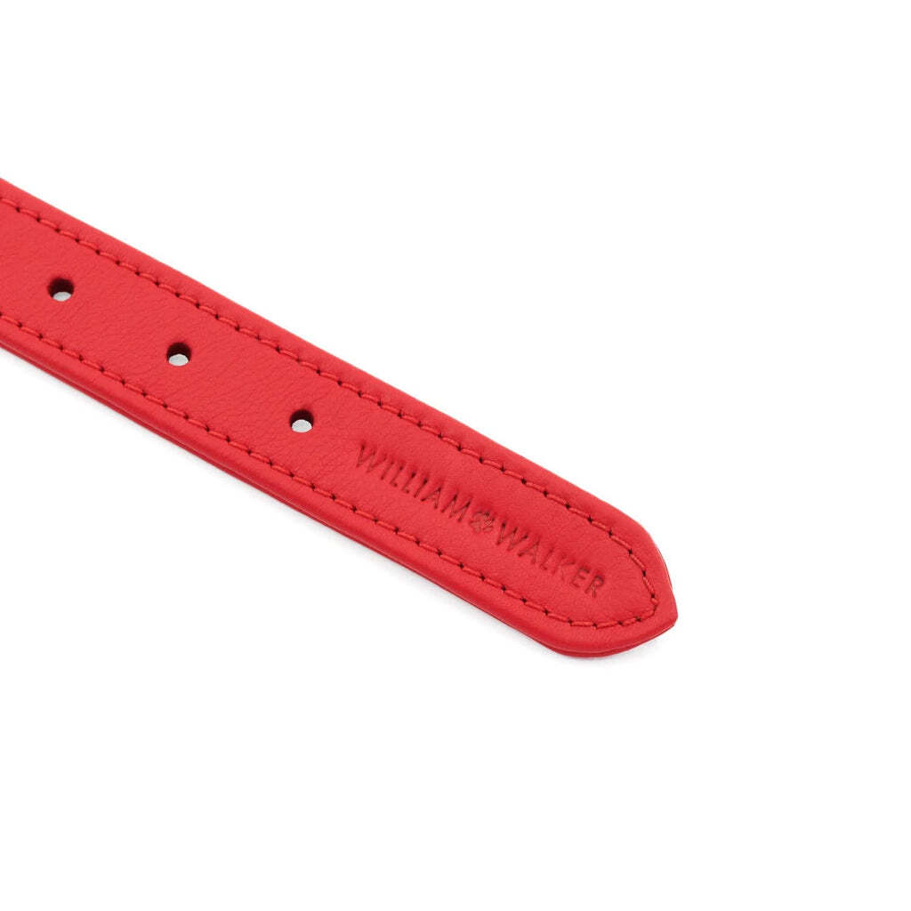 William Walker Hundehalsbänder William Walker Hundehalsband Plain Chili XXL