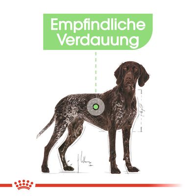 Royal Canin Maxi Digestive Care