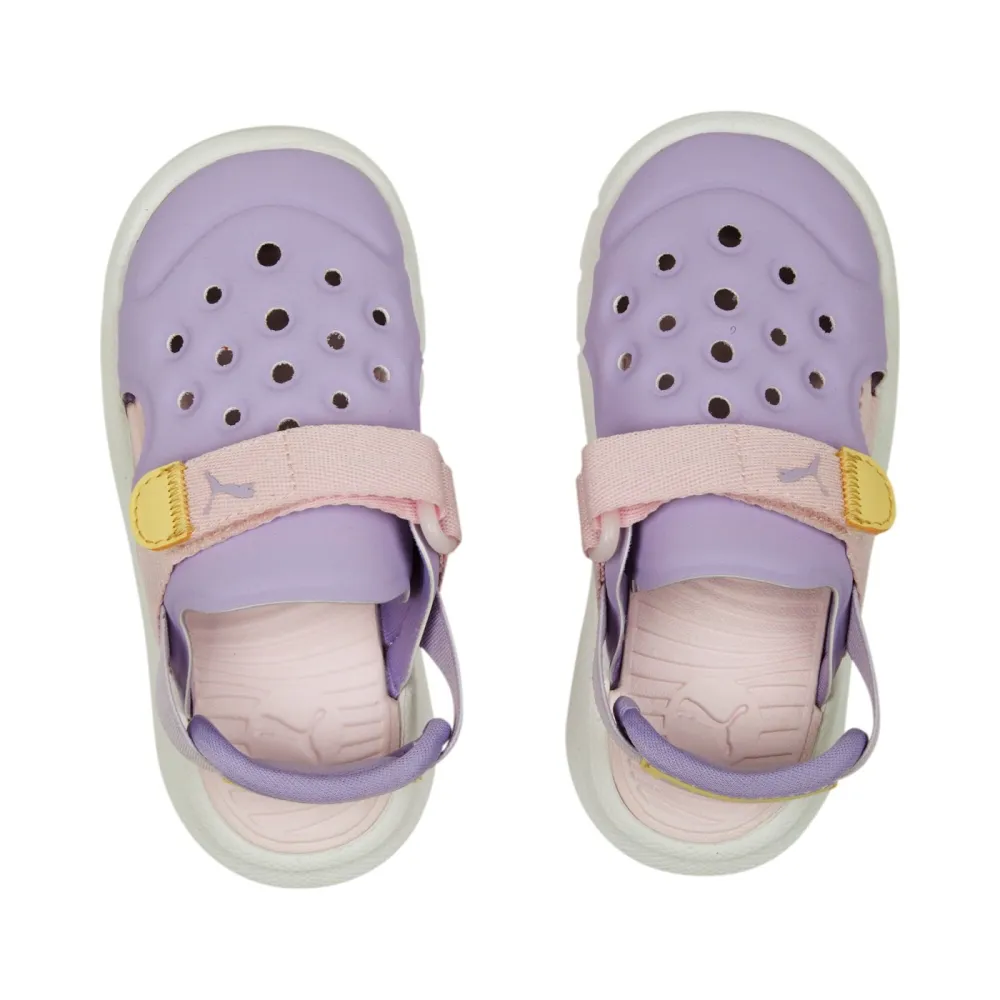 PUMA EVOLVE AC 389148-05 / lila
