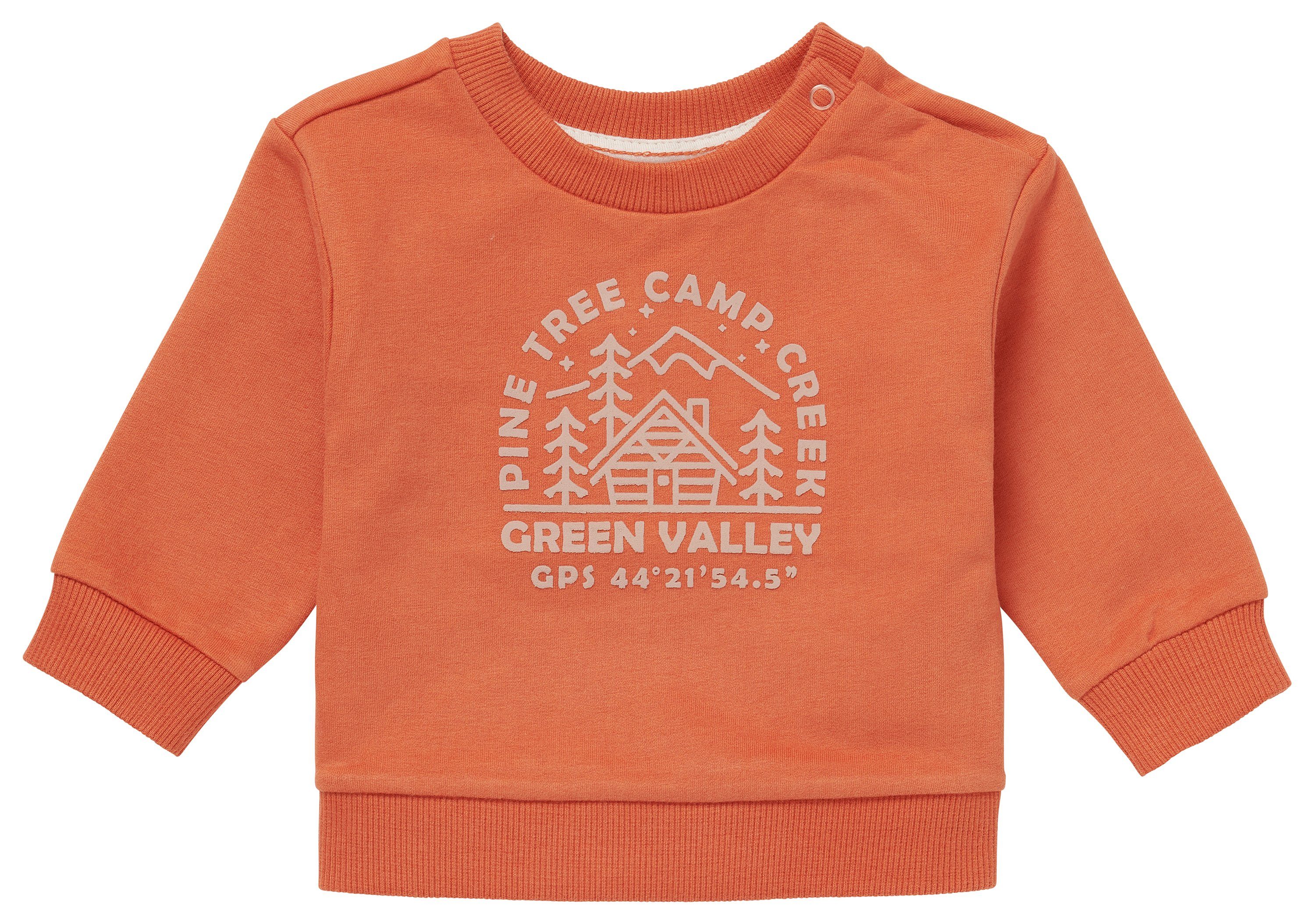 Noppies Sweater Noppies Pullover Jalna (1-tlg)