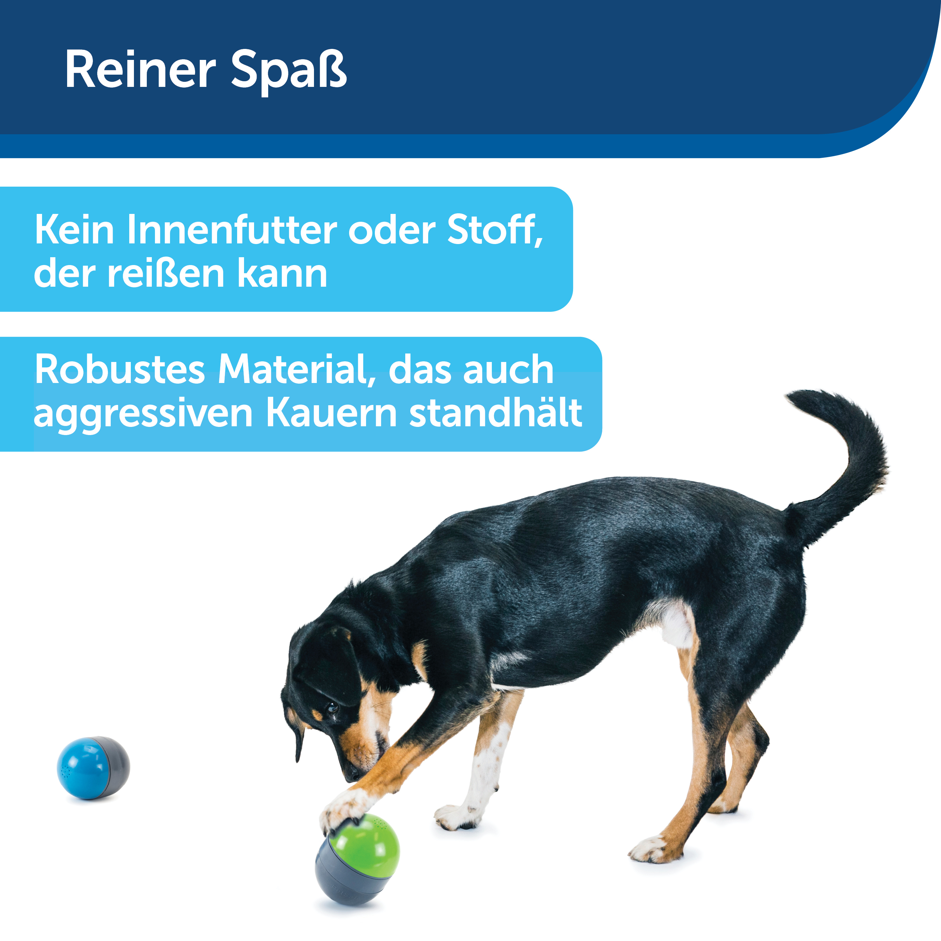 PetSafe Intelligenzspielzeug PetSafe Elektronisches Hundespielzeug Ricochet