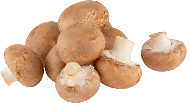 Champignons creme