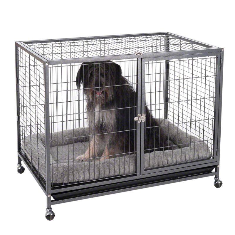 Zimmerkennel Tabby zu TOP-Preisen % | bitiba