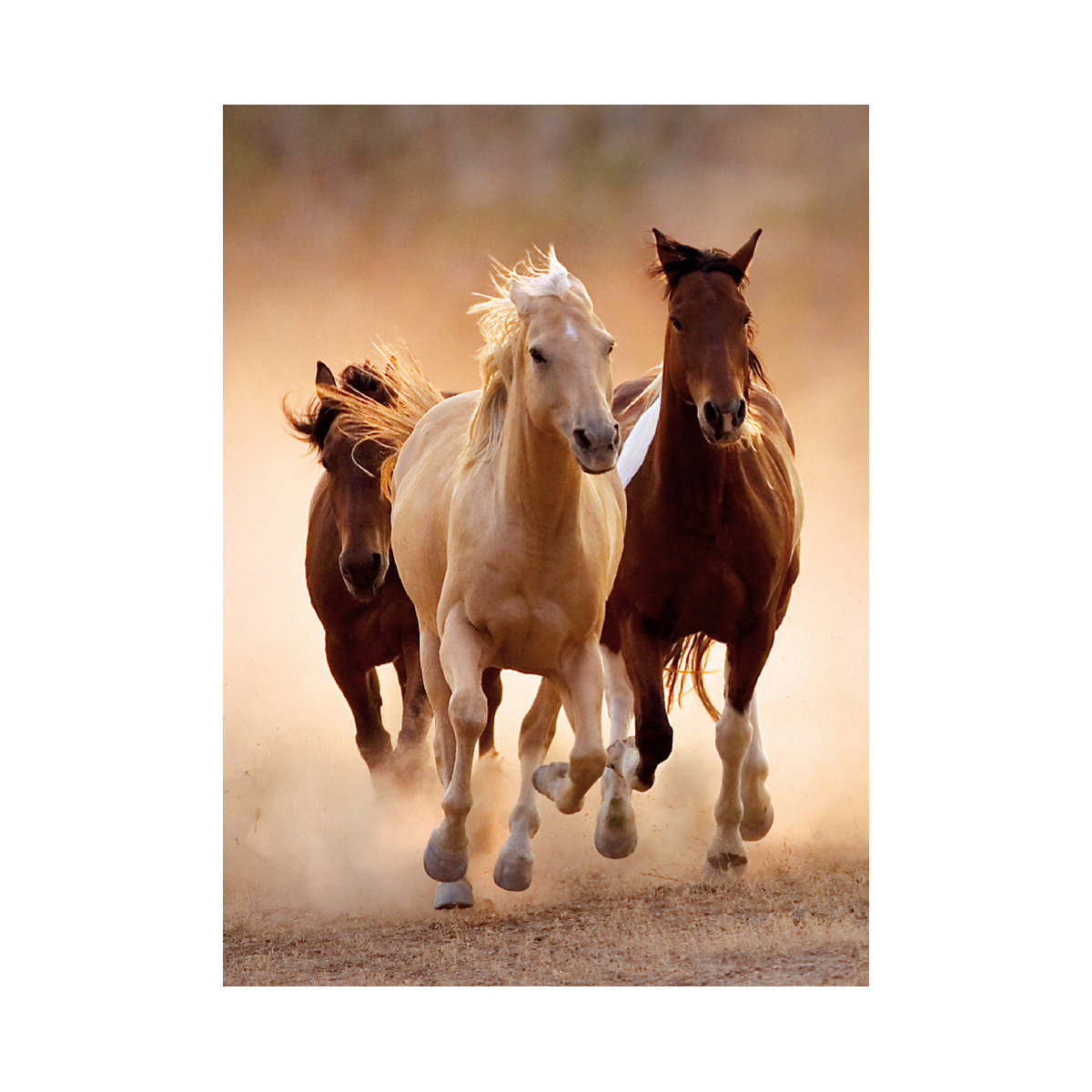 Puzzle 1.000 Teile High Quality Collection - Running Horses