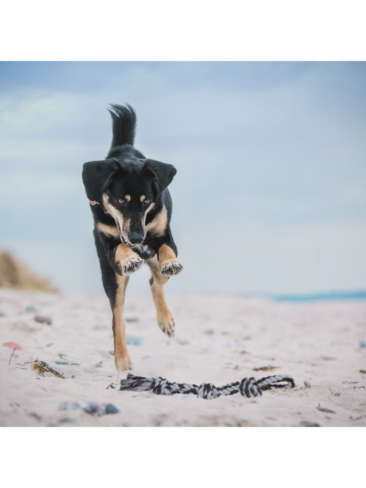 relaxdays 2x Hundeseil in Schwarz/Grau günstig kaufen onesize