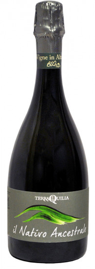 2019 Il Nativo Ancestrale Emilia IGP trocken Bio - TerraQuilia