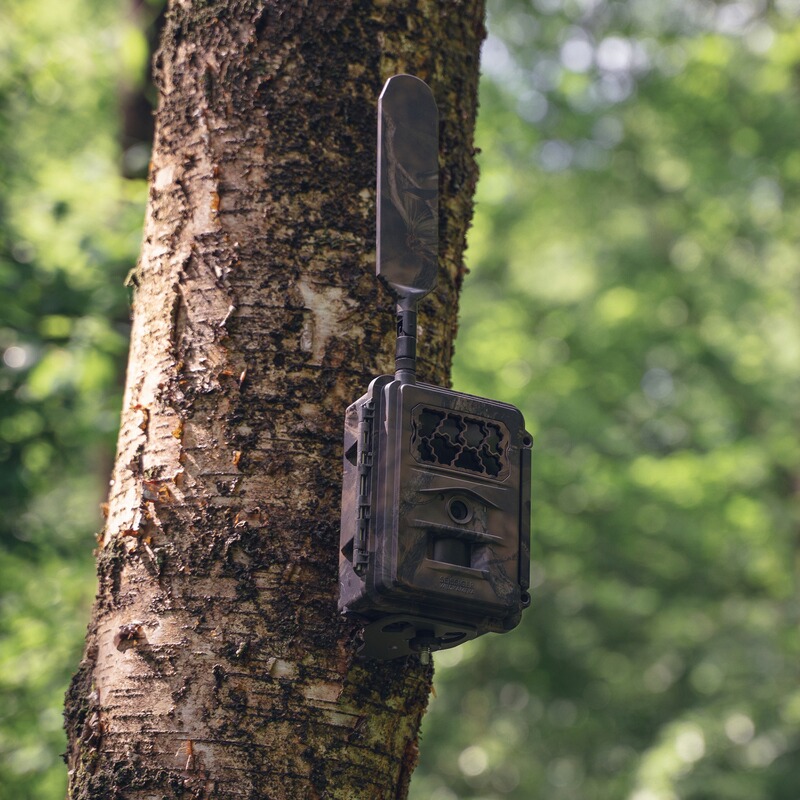 SEISSIGER Wildkamera Special-Cam LTE - SUPERSIM-Edition inkl. Batterien