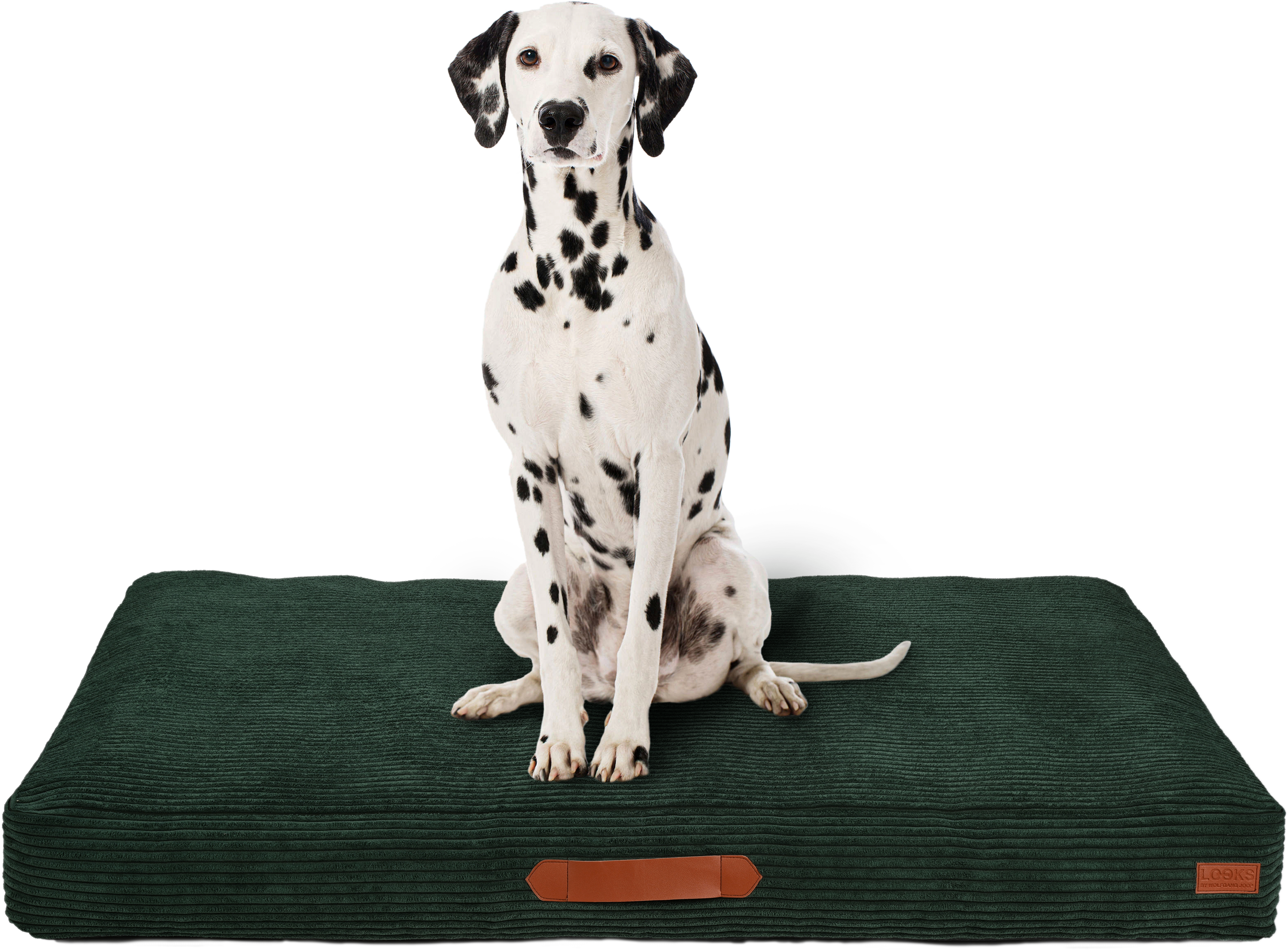 LOOKS by Wolfgang Joop Hundebetten LOOKS by Wolfgang Joop Kissen Cord XL