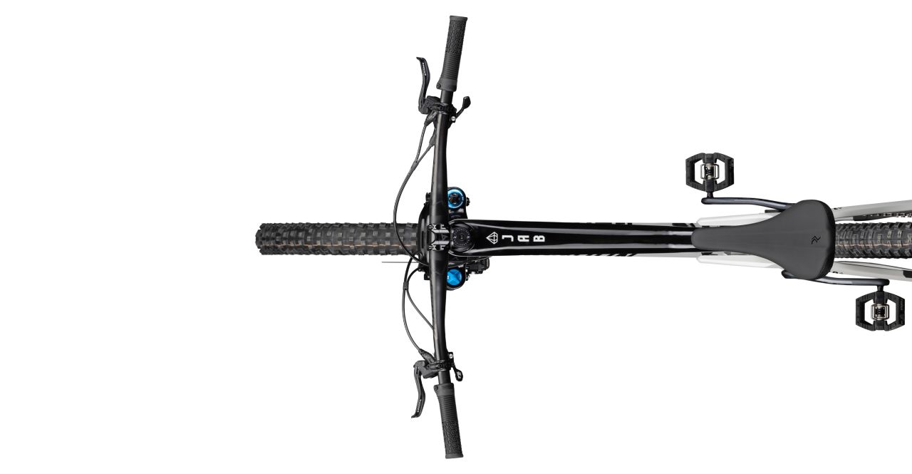 Radon Jab 10.0 HD kaufen | Bike-Discount