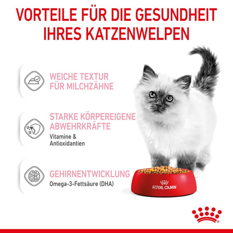 Royal Canin Kitten in Gelee zu TOP-Preisen