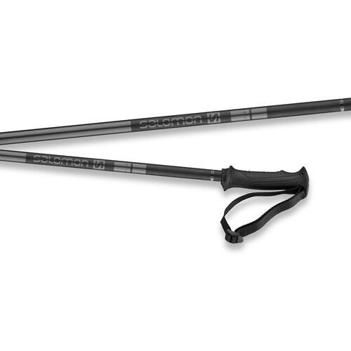HERREN ALPIN-SKISTOCK ARCTIC