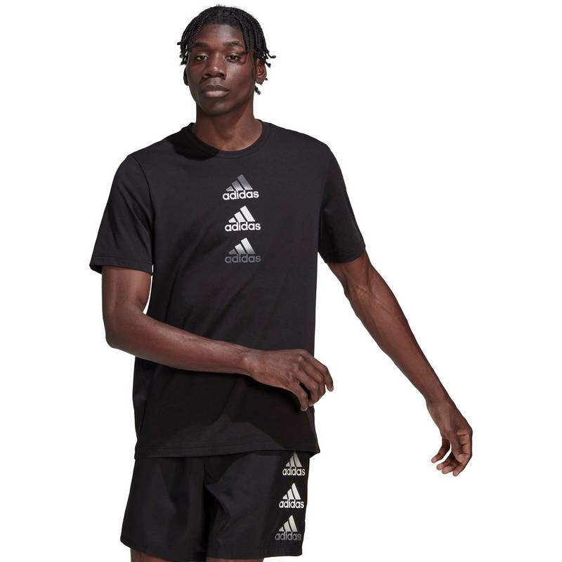 adidas Designed to Move Funktionsshirt Herren