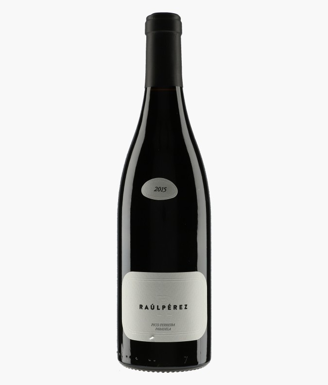 Paradela Pico Ferreira 2015PEREZ RAUL
