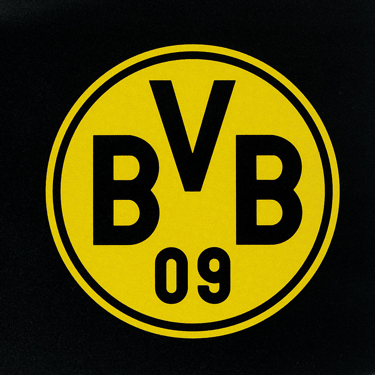 BVB-Schreibtischunterlage