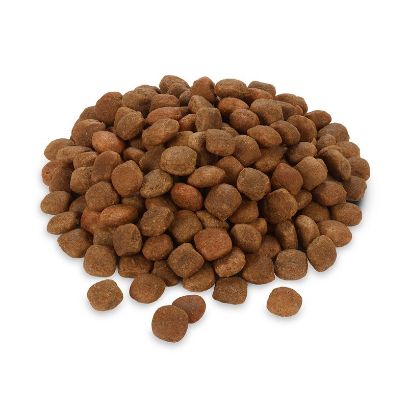 Rocco Diet Care Hypoallergen Lamm Trockenfutter