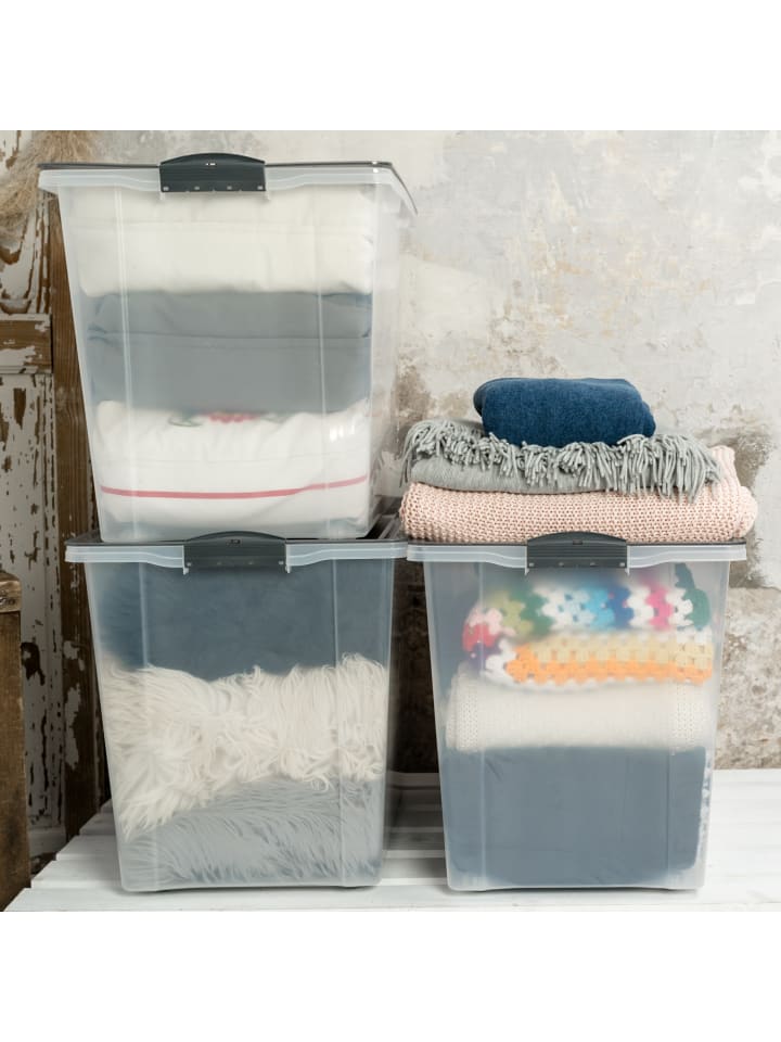 Rotho 3er Set Box 70 l COMPACT günstig kaufen onesize