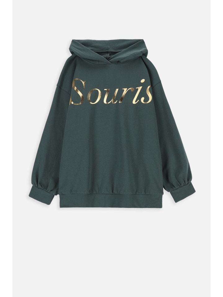 Coccodrillo Sweatshirt in grün günstig kaufen