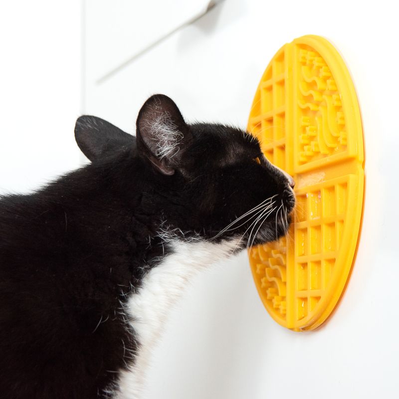 Schleckmatte Waffle für Hund und Katze zu TOP-Preisen | bitiba.de