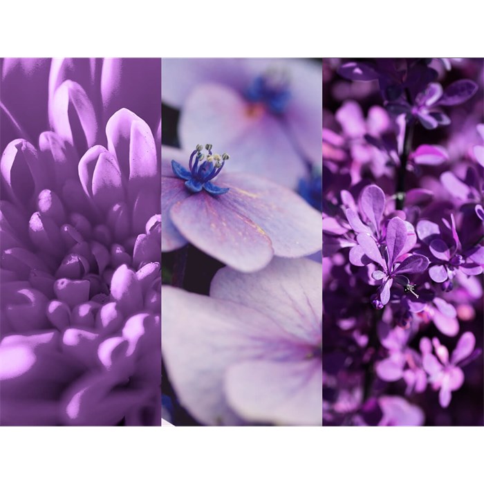 Deodorant Spray Nr. 4 Vibrant Flower