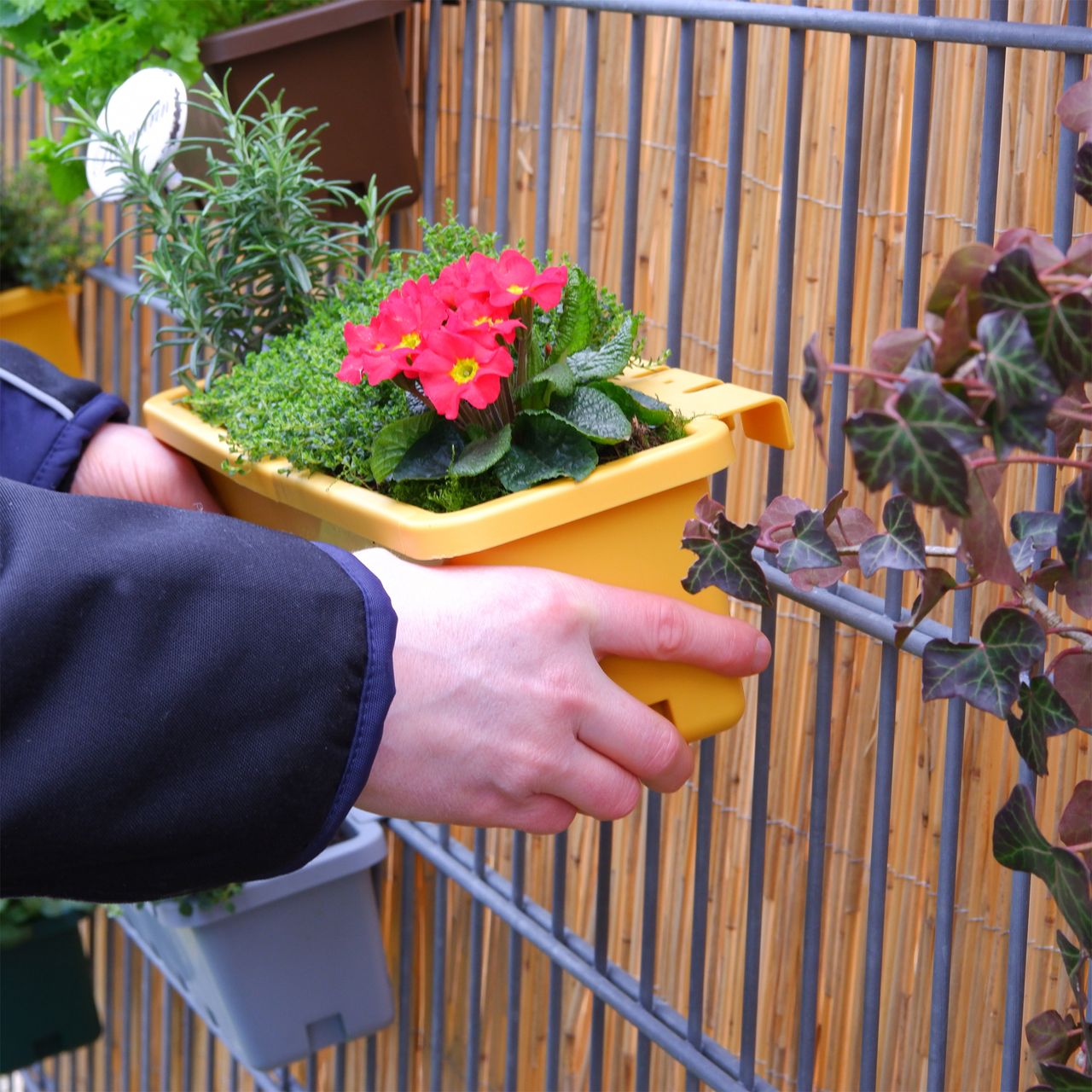 GreenLife Blumen- / Kräuterbox 3 Stück, grün, komplett