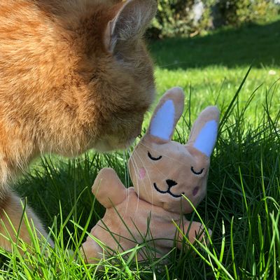 Aumüller Baldi-Bunny Schmusehase