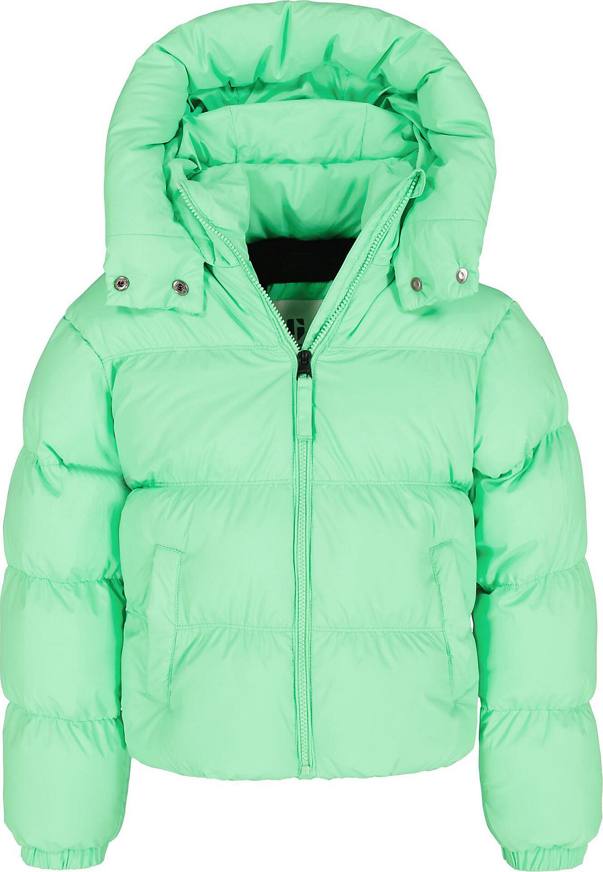 Winter Jacket