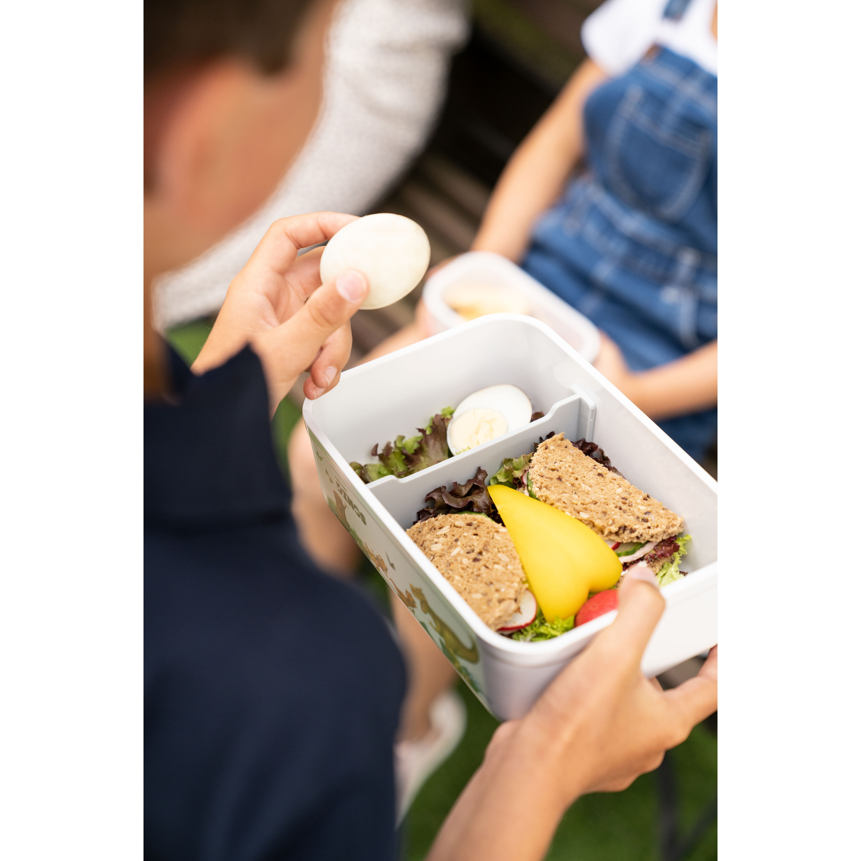 Vakuum Lunchbox DINOS L, Kunststoff, Weiß-grau