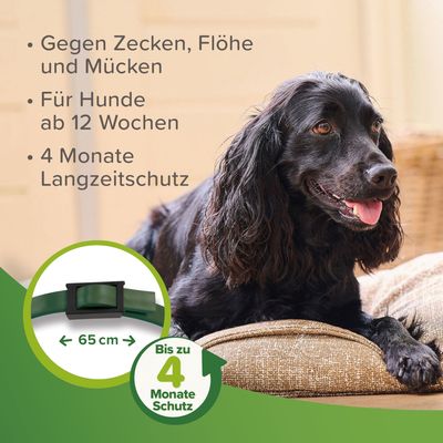 beaphar Zecken- & Flohschutz-Halsband für Hunde