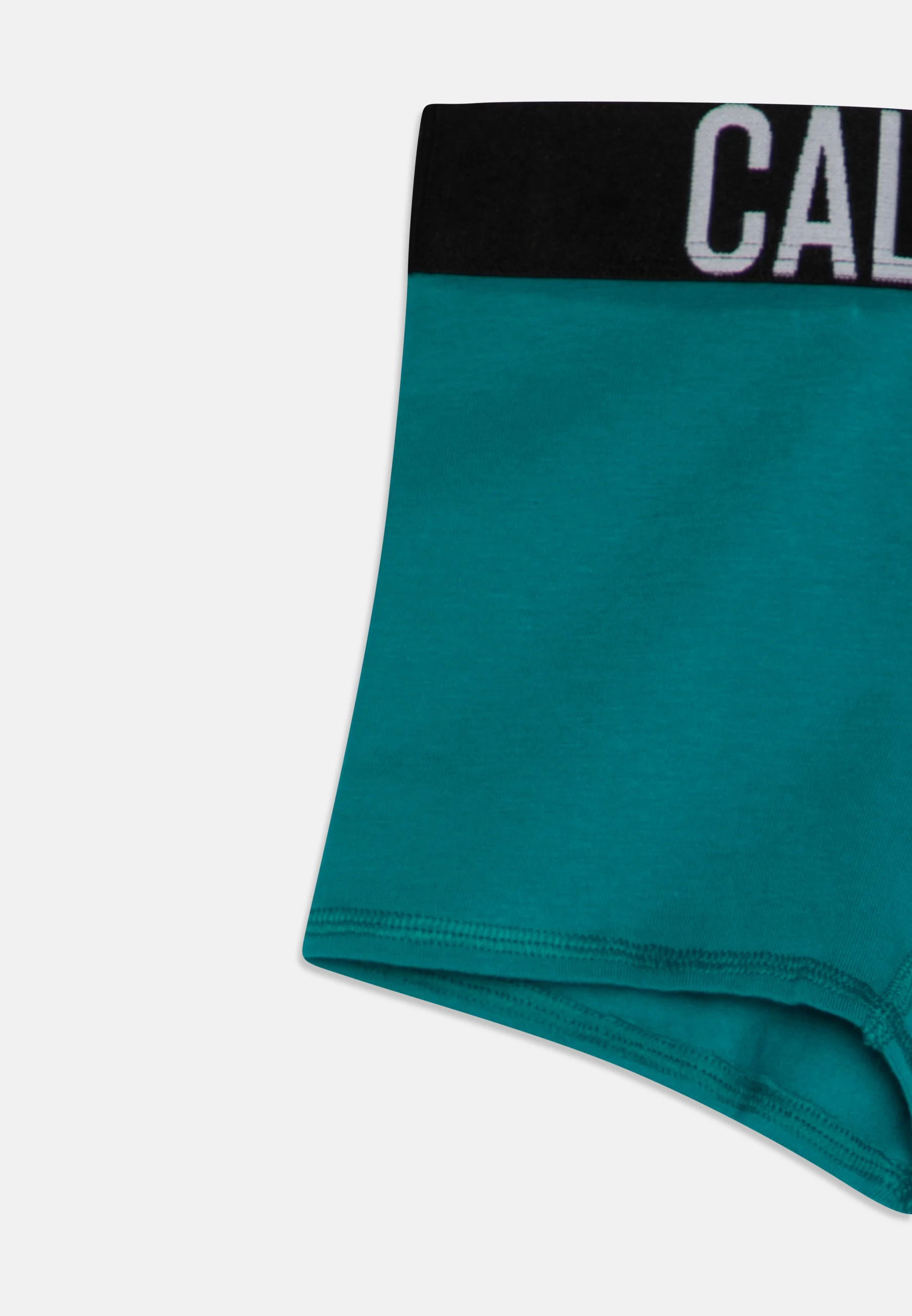 Calvin Klein Underwear TRUNK PACK DE 2 - Culotte