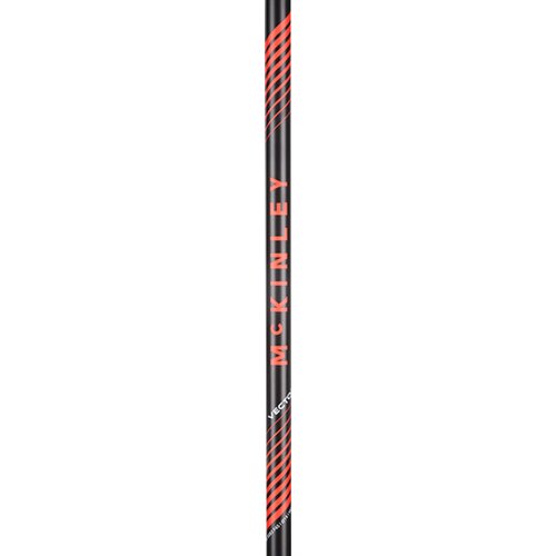 HERREN ALPIN-SKISTOCK VECTOR 20