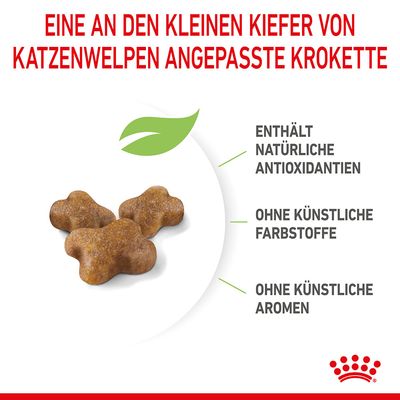 Royal Canin Kitten