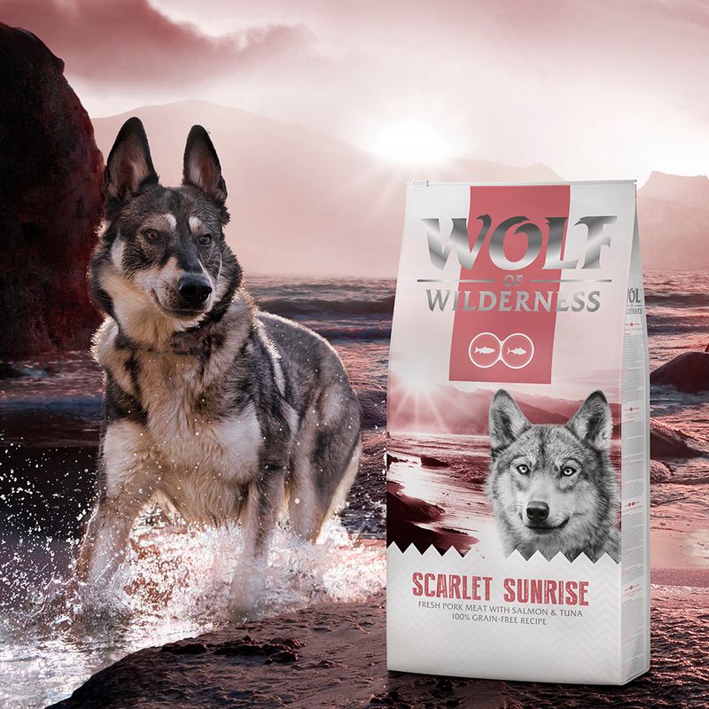 Wolf of Wilderness 'Scarlet Sunrise' - Lachs & Thunfisch