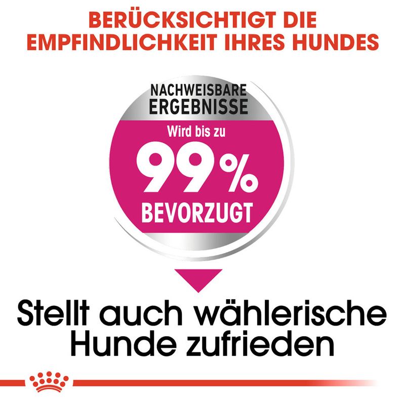 Royal Canin Mini Exigent