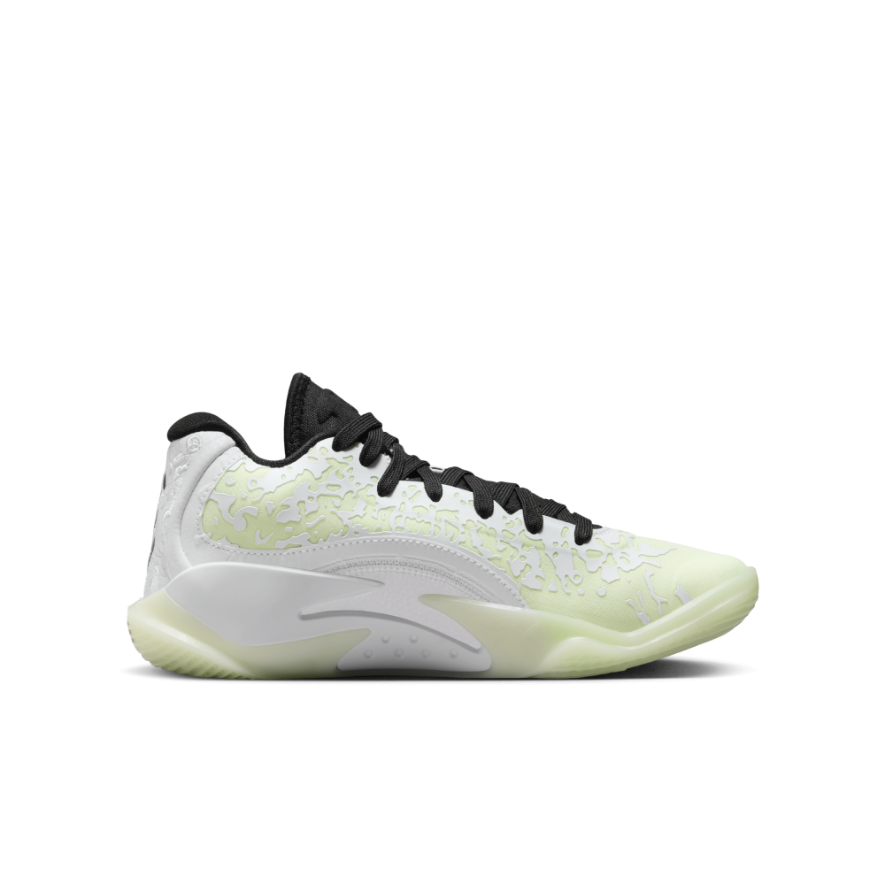 NIKE JORDAN Zion 3 DV3869-110 / weiss