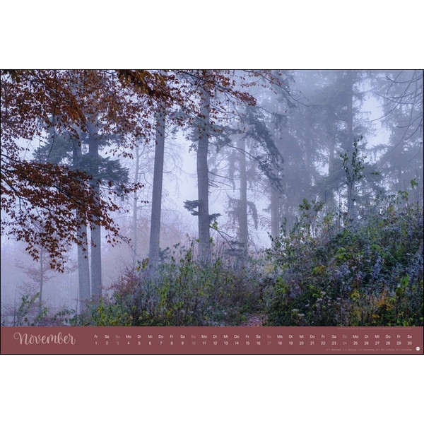 ZAUBERWÄLDER EDITION KALENDER 2024. WANDKALENDER XL - Kalender