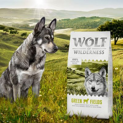 Wolf of Wilderness Adult 