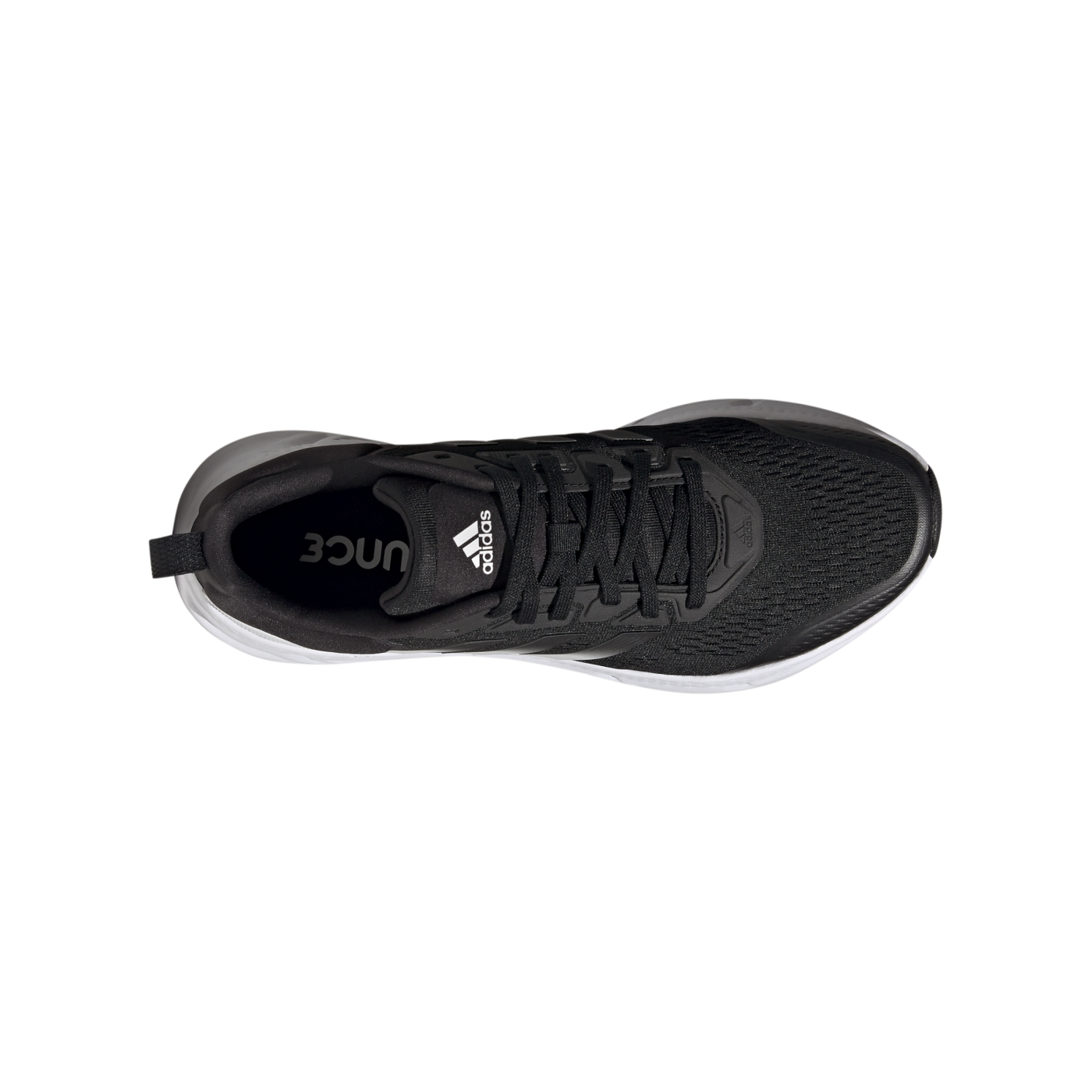 adidas Questar Schwarz Weiss Laufschuh