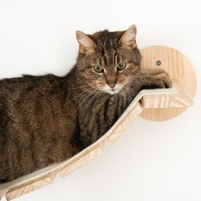 Modern Living Kratzmöbel - Katzen Parkour zur Wandmontage