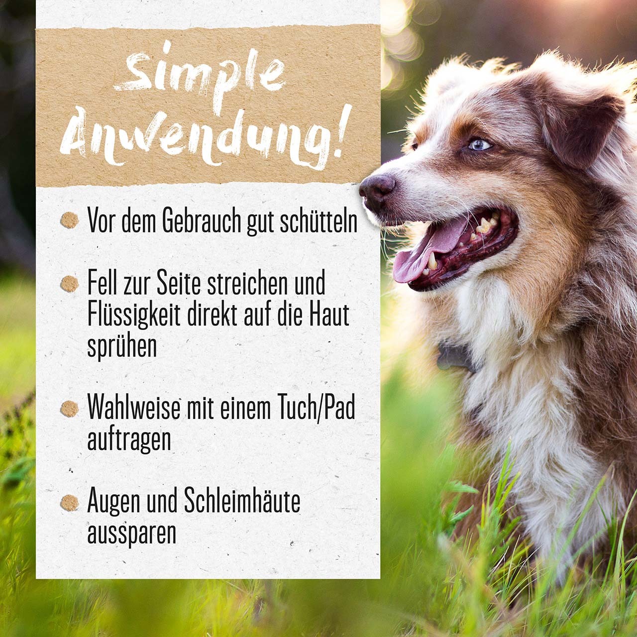 ALPHAZOO Fellpflege ALPHAZOO Brandlöscher 200ml - Juckreiz-Spray, Fellpflege-Spray für Hunde, Katzen, Haus- und Hoftiere 500 ml