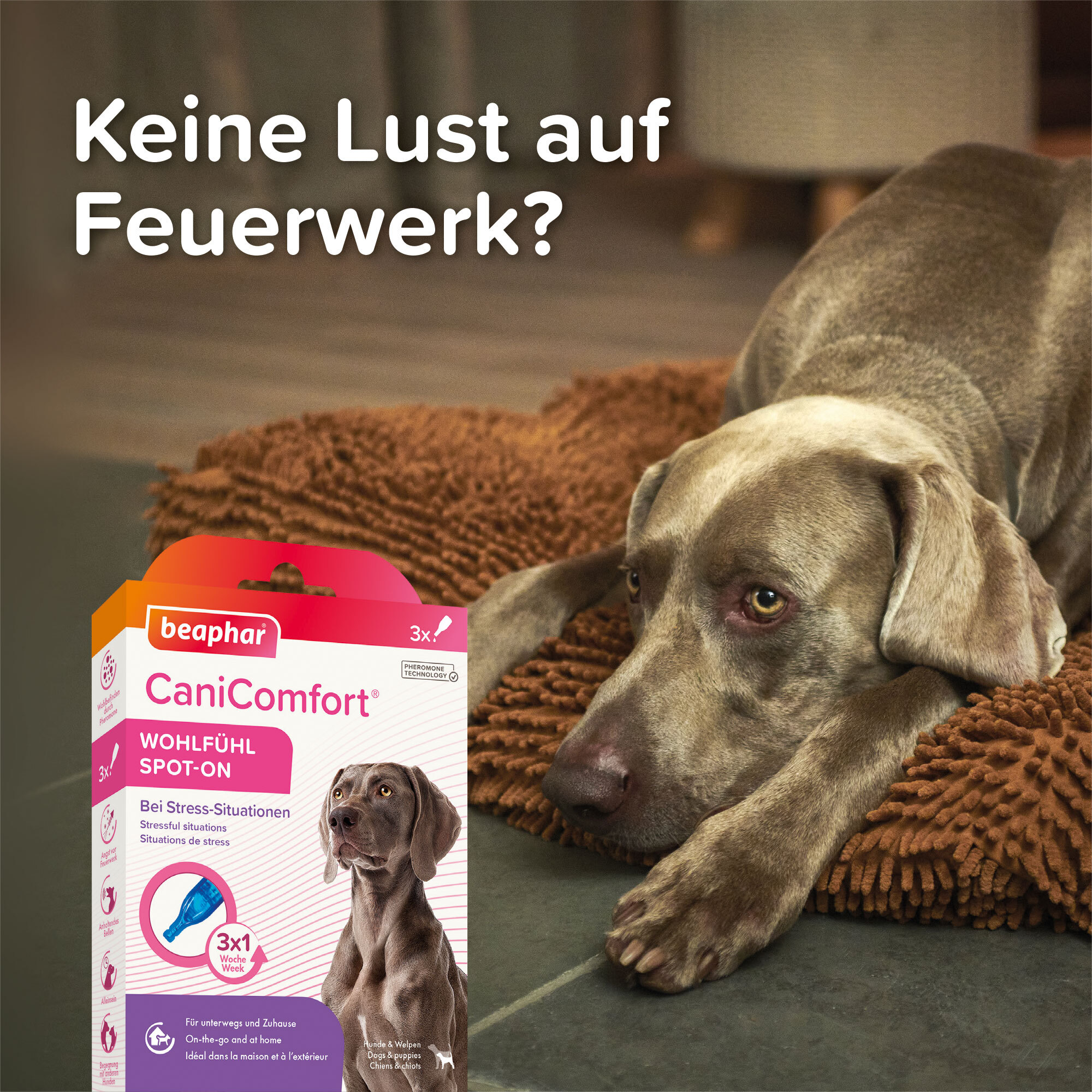 Beaphar Beruhigungsmittel Beaphar CaniComfort Wohlfühl Spot-On 3x1 ml