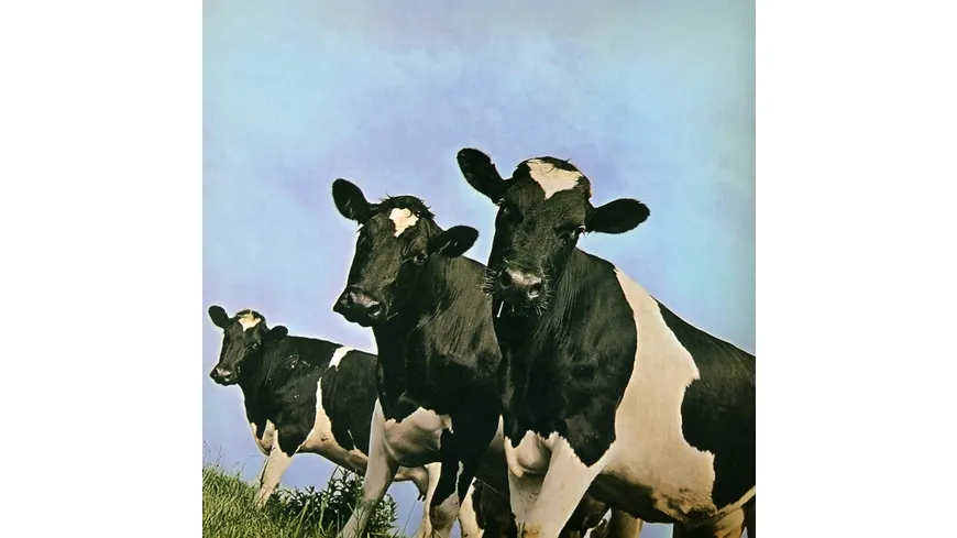 Atom Heart Mother Hakone
