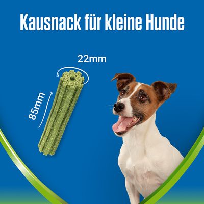 PURINA Dentalife Active Fresh Tägliche Zahnpflege-Snacks für kleine Hunde