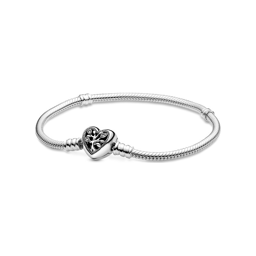 Pandora Armband Moments