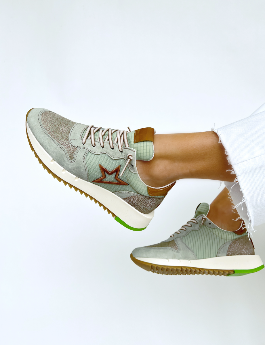 Cetti  C1301 SRA E23 - Vert sauge Taupe