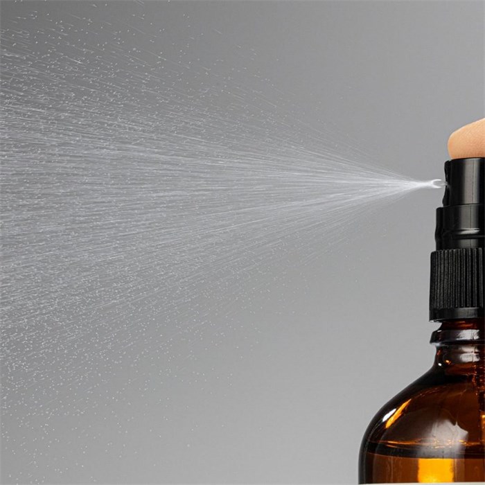 Antioxidant-Rich Gentle Toner