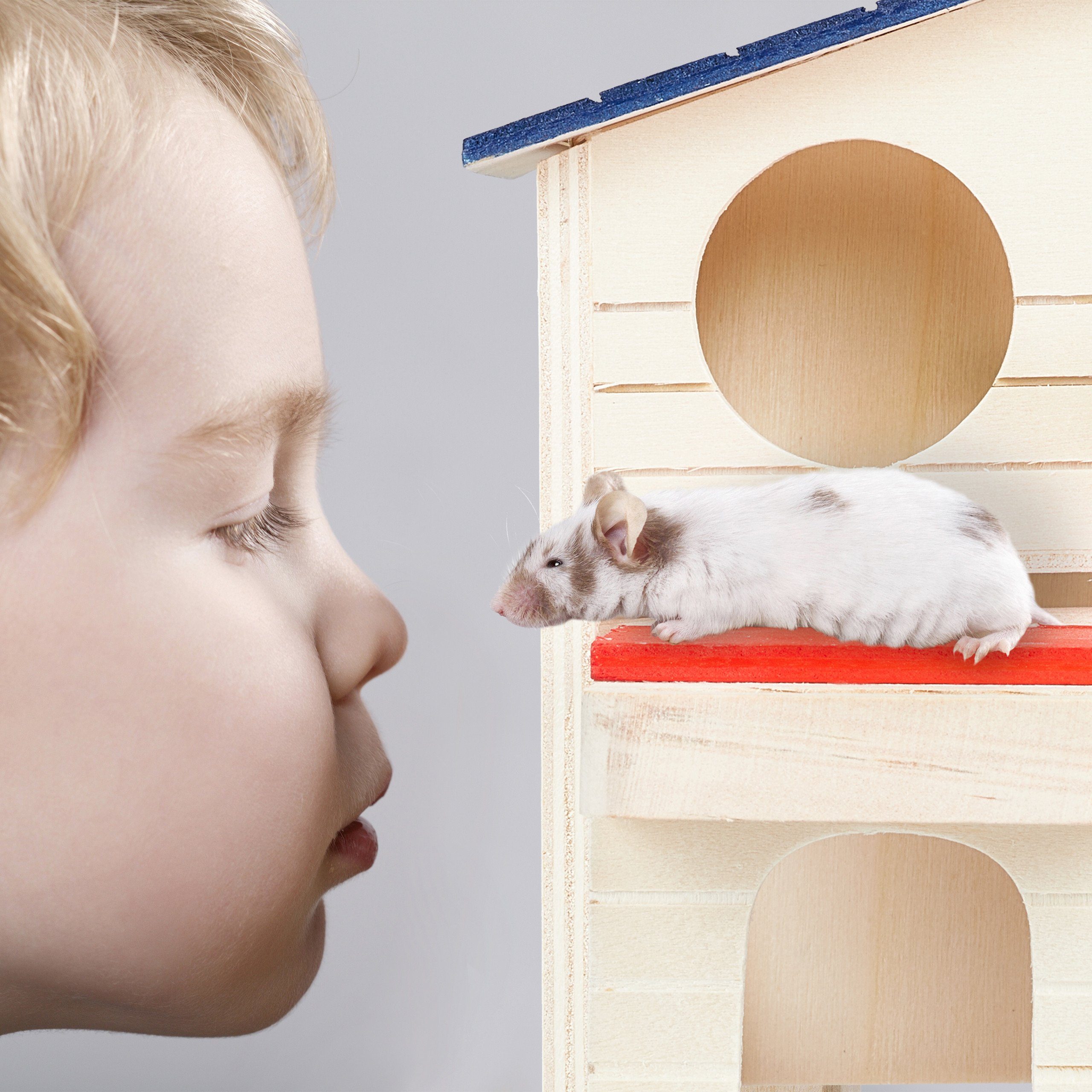 relaxdays Nagerhaus Hamsterhaus Holz