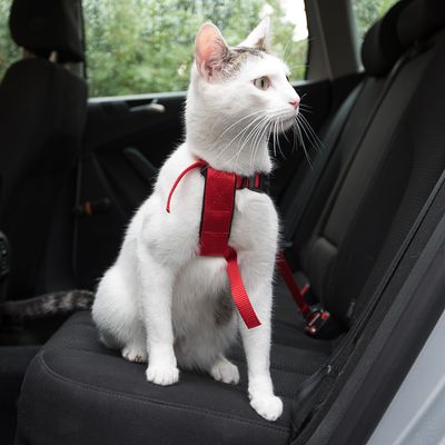 Trixie Auto-Geschirr für Katzen