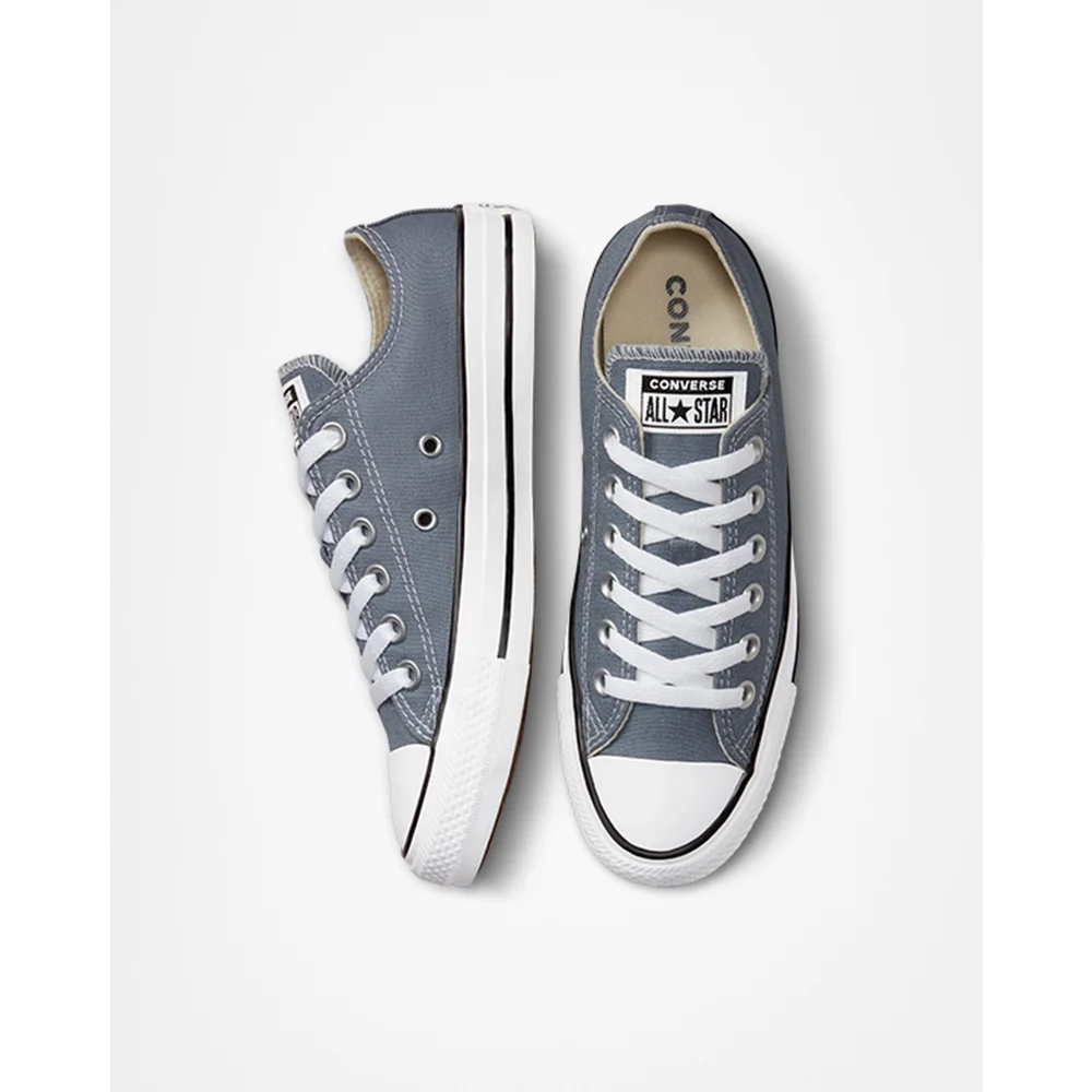 Converse Chuck Taylor All Star A02802C / grau