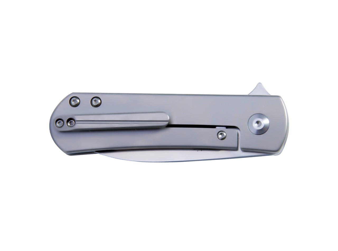 Yorkie Titanium